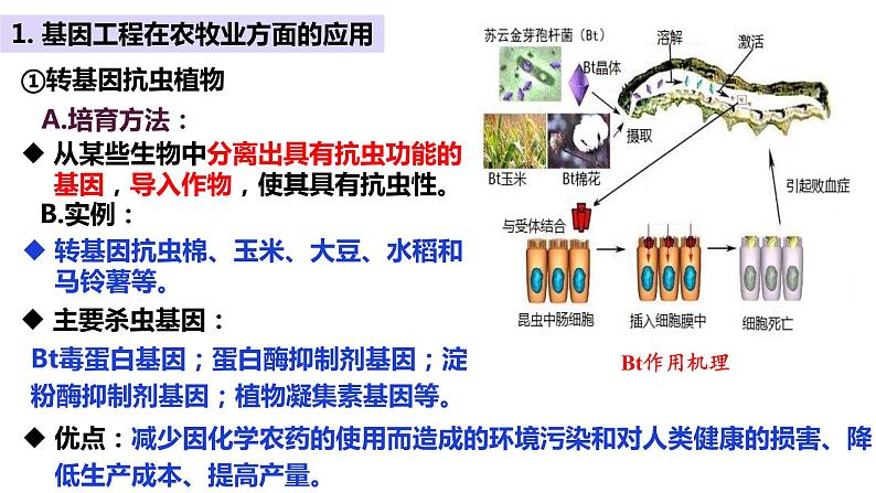 高三一轮复习生物:3.3节 基因工程的应用课件第8页