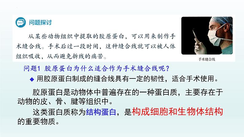 2.4 蛋白质是生命活动的主要承担者(第1课时)课件--高一上学期生物人教版(2019)必修1第2页