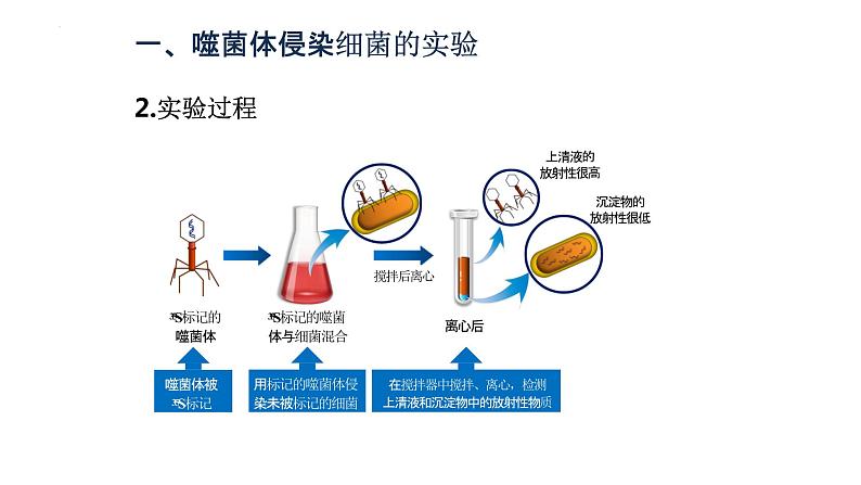 3.1DNA是主要的遗传物质(2)课件--高一下学期生物人教版必修206