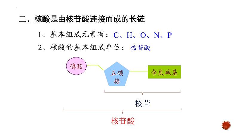 2.5核酸是遗传信息的携带者--高一上学期生物人教版必修1第5页