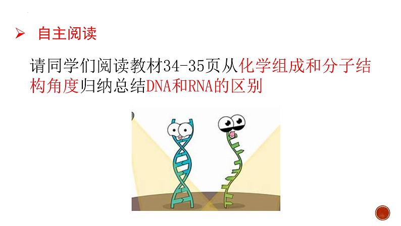 2.5核酸是遗传信息的携带者--高一上学期生物人教版必修1第6页
