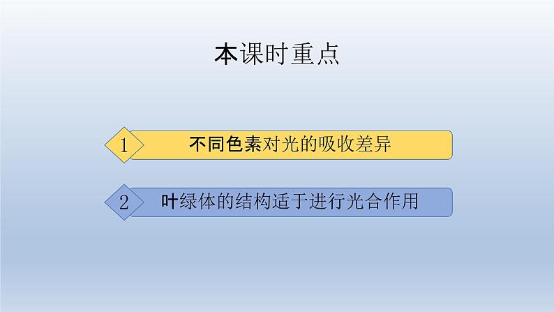 5.4光合作用与能量转化(第二课时)--高一上学期生物人教版必修1 课件02