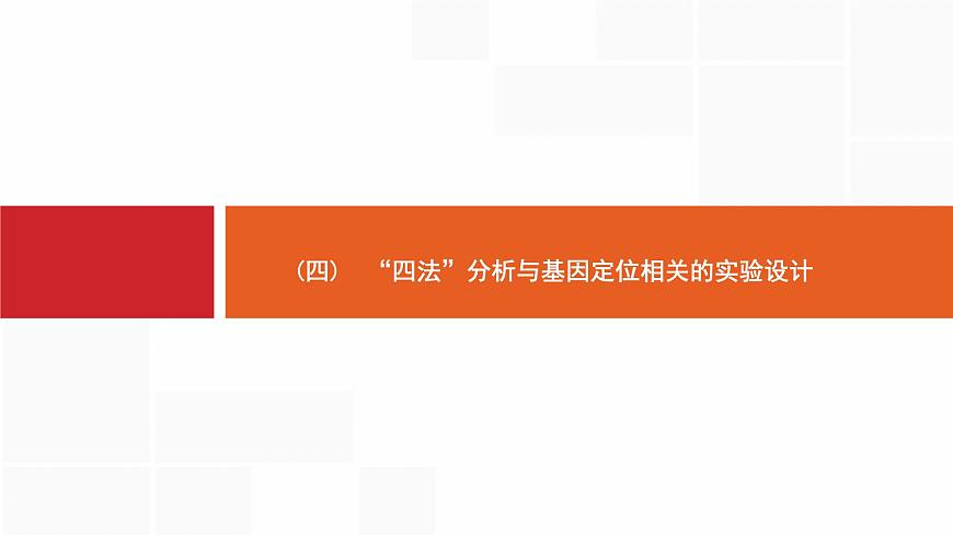 高考生物一輪復(fù)習(xí)微專題4“四法”分析與基因定位相關(guān)的實驗設(shè)計課件第1頁