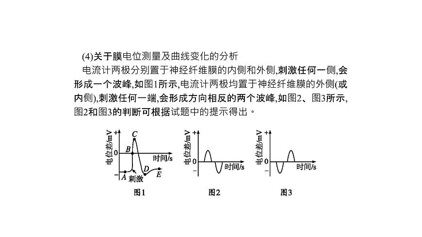 高考生物一輪復(fù)習(xí)微專題5神經(jīng)調(diào)節(jié)的研究方法及實(shí)驗(yàn)探究課件第5頁