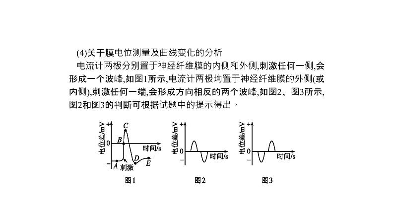 高考生物一轮复习微专题5神经调节的研究方法及实验探究课件第5页