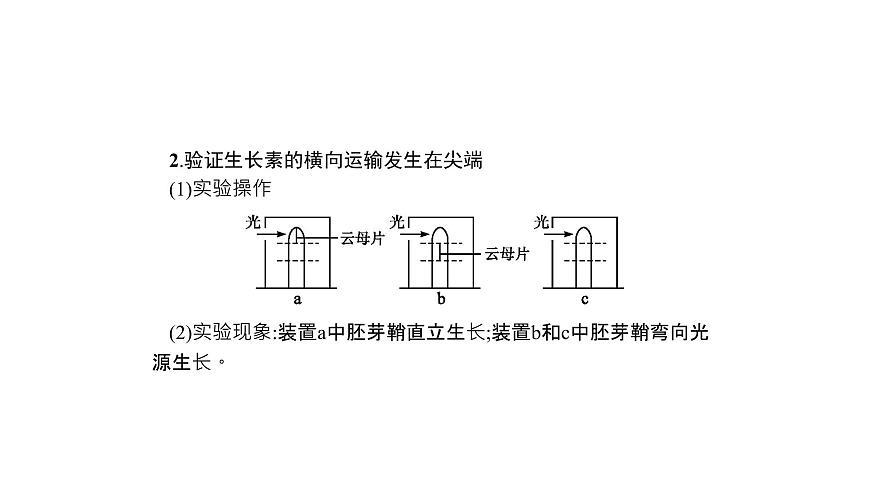 高考生物一輪復(fù)習(xí)微專(zhuān)題6透析與植物激素相關(guān)的實(shí)驗(yàn)課件第4頁(yè)