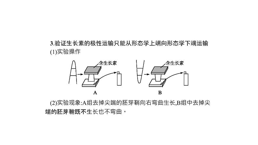 高考生物一輪復(fù)習(xí)微專(zhuān)題6透析與植物激素相關(guān)的實(shí)驗(yàn)課件第6頁(yè)