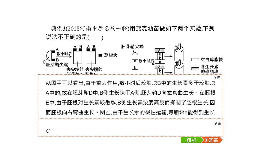 高考生物一輪復(fù)習(xí)微專(zhuān)題6透析與植物激素相關(guān)的實(shí)驗(yàn)課件第7頁(yè)