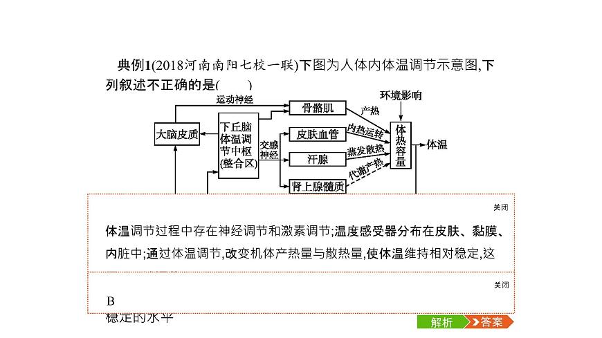 高考生物一輪復(fù)習(xí)微專(zhuān)題7相關(guān)生物模型的解讀及應(yīng)用課件第3頁(yè)