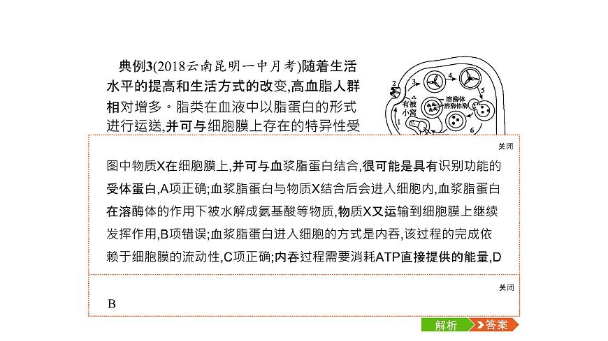高考生物一輪復(fù)習(xí)微專(zhuān)題7相關(guān)生物模型的解讀及應(yīng)用課件第7頁(yè)