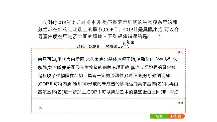 高考生物一輪復(fù)習(xí)微專(zhuān)題7相關(guān)生物模型的解讀及應(yīng)用課件第8頁(yè)