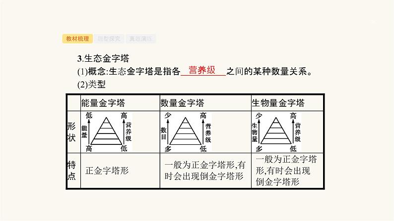 高考生物一轮复习第28讲生态系统的营养结构、生产量和生物量课件07
