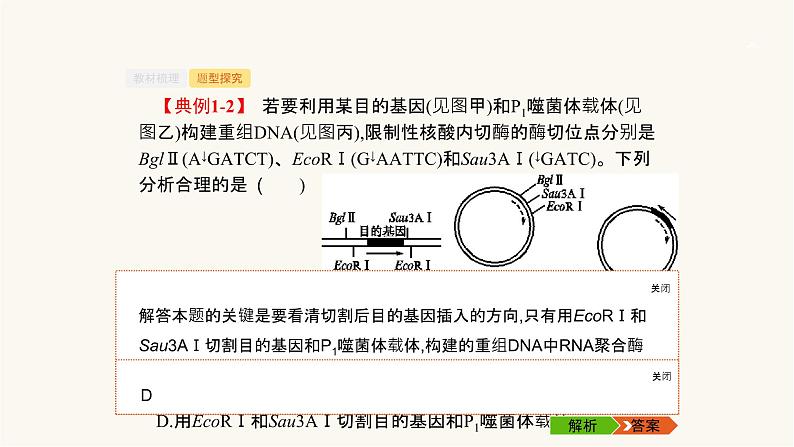 高考生物一轮复习第35讲基因工程课件08