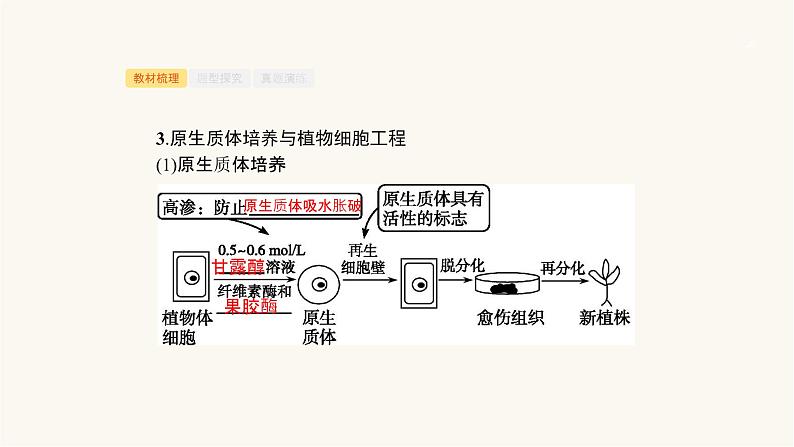 高考生物一轮复习第36讲克隆技术课件第6页