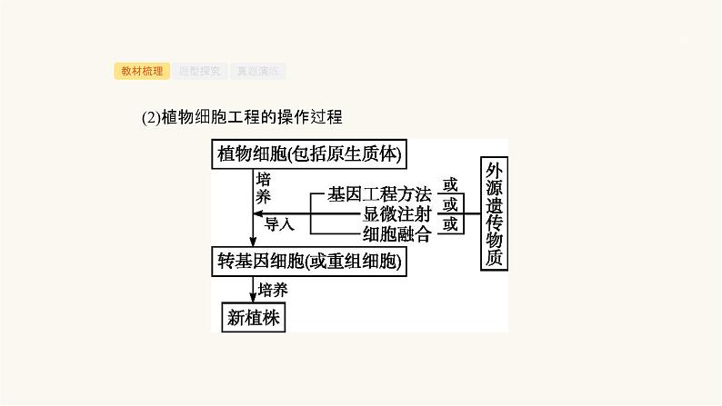 高考生物一轮复习第36讲克隆技术课件第7页