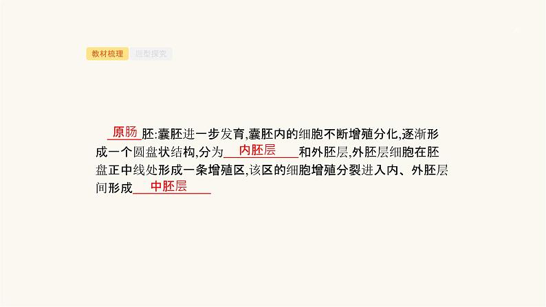 高考生物一轮复习第37讲胚胎工程课件05
