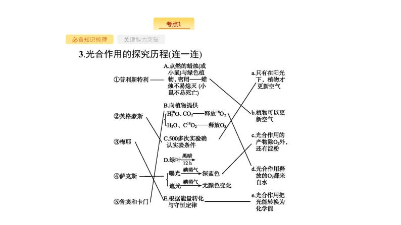 高考生物一轮复习第10讲光合作用的探究历程与基本过程课件06