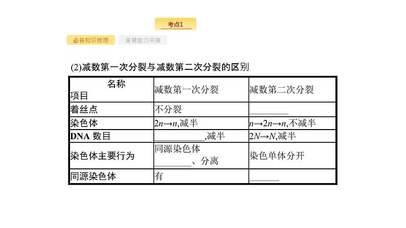 高考生物一轮复习第13讲减数分裂和受精作用课件第6页