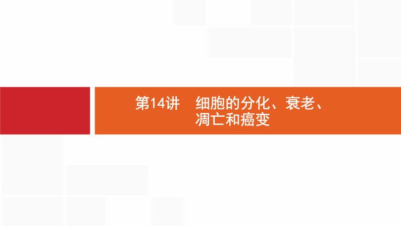 高考生物一轮复习第14讲细胞的分化、衰老、凋亡和癌变课件01