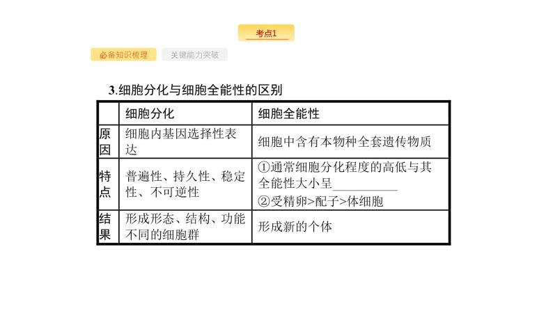 高考生物一轮复习第14讲细胞的分化、衰老、凋亡和癌变课件05