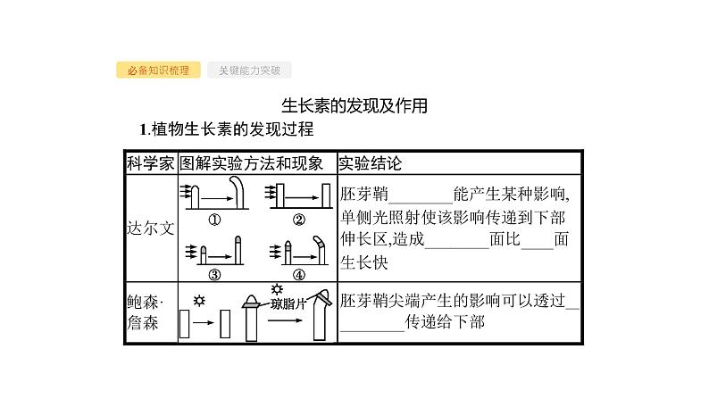 高考生物一轮复习第29讲植物的激素调节课件第3页