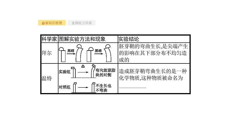 高考生物一轮复习第29讲植物的激素调节课件第4页