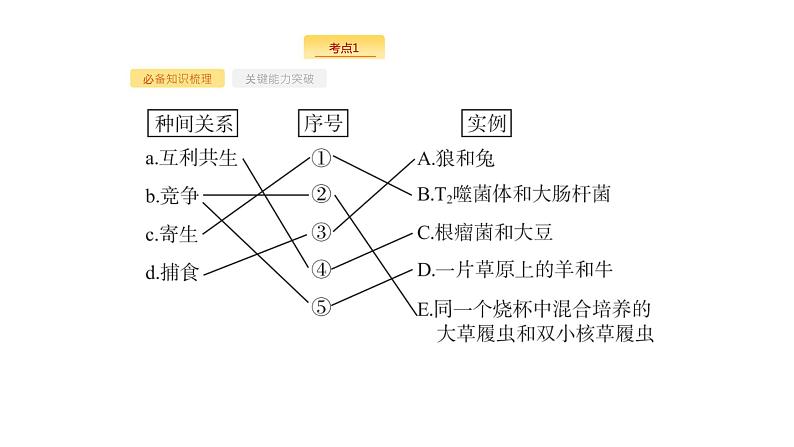 高考生物一轮复习第31讲群落的结构群落的演替课件第6页
