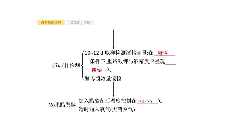 高考生物一轮复习第35讲发酵工程课件第6页