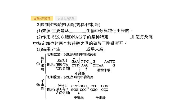 高考生物一轮复习第36讲基因工程课件第4页