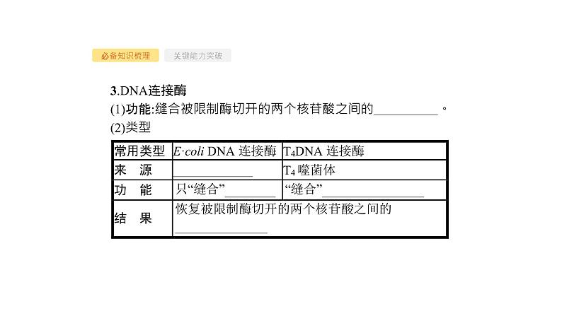 高考生物一轮复习第36讲基因工程课件第5页