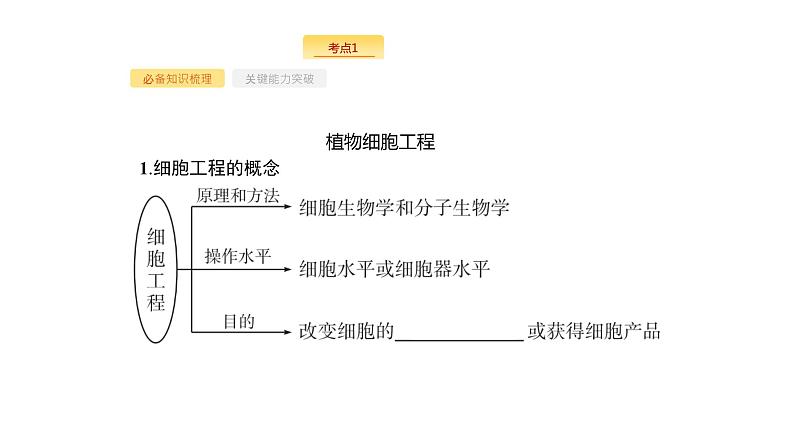 高考生物一轮复习第37讲细胞工程课件02