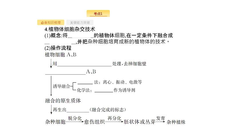 高考生物一轮复习第37讲细胞工程课件06