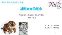 5.1基因突變和基因重組（第1課時(shí)）課件--高一下學(xué)期生物人教版必修2