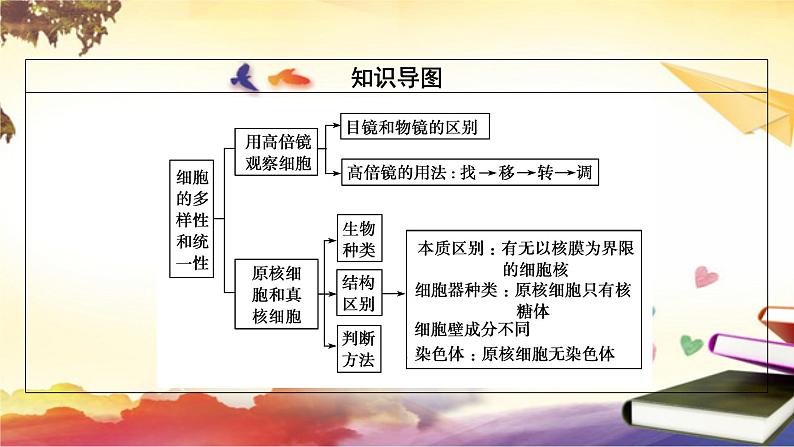 1.2细胞的多样性和统一性课件--高一上学期生物人教版必修1第4页
