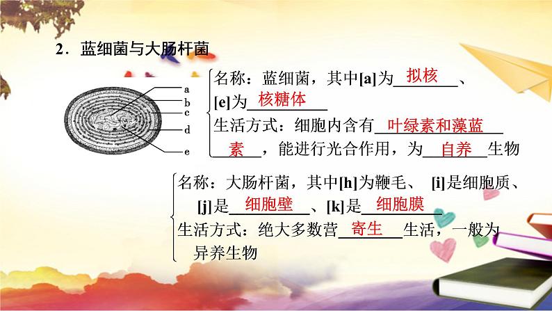 1.2细胞的多样性和统一性课件--高一上学期生物人教版必修1第8页