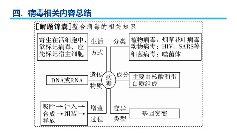 2022年广东省人教版高中生物学业水平——第一章走近细胞第8页