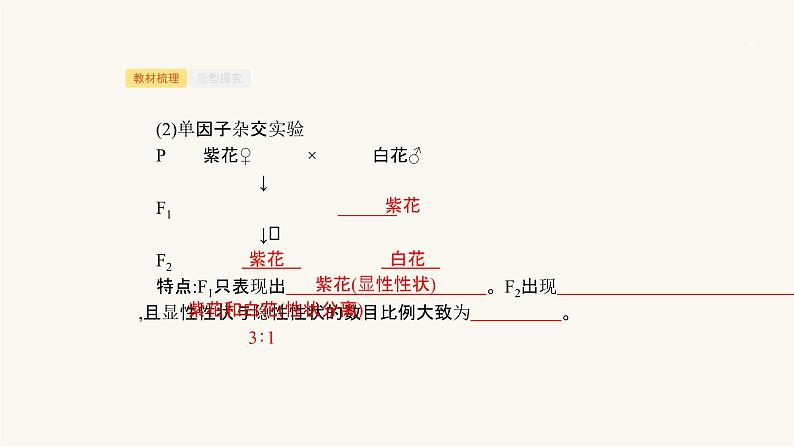 高考生物一轮复习第14讲分离定律课件第5页