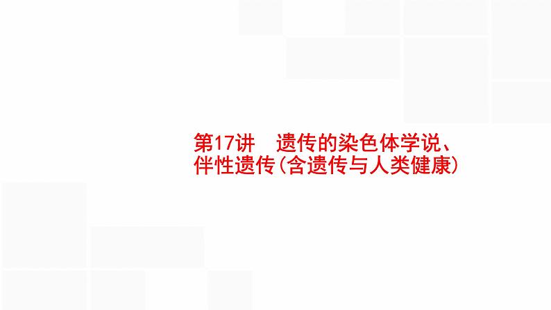 高考生物一轮复习第17讲遗传的染色体学说、伴性遗传(含遗传与人类健康)课件01