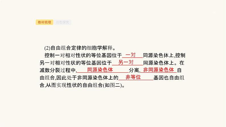 高考生物一轮复习第17讲遗传的染色体学说、伴性遗传(含遗传与人类健康)课件07