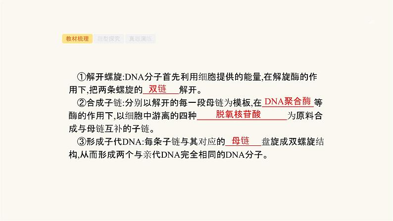 高考生物一轮复习第19讲遗传信息的传递和表达课件第6页