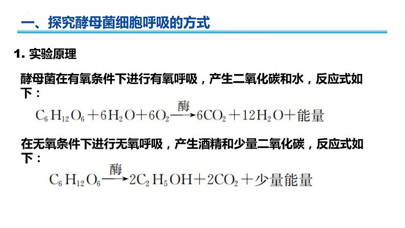 广东省普通高中生物学业水平考试 学考复习课件——第五章细胞的能量供应和利用(第二课时)第3页
