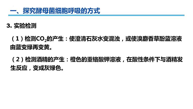 广东省普通高中生物学业水平考试 学考复习课件——第五章细胞的能量供应和利用(第二课时)第6页