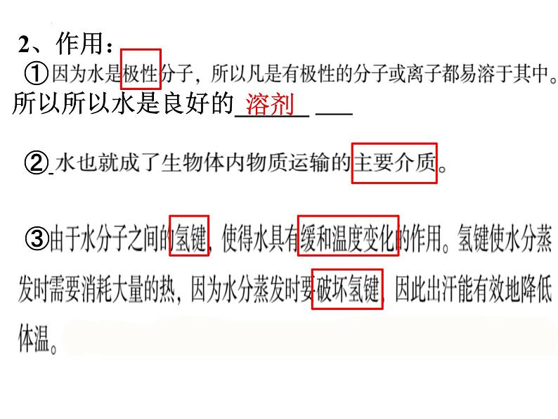 高三一轮复习生物:细胞的分子组成课件第4页
