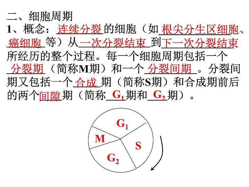 高三一轮复习生物:有丝分裂课件第3页