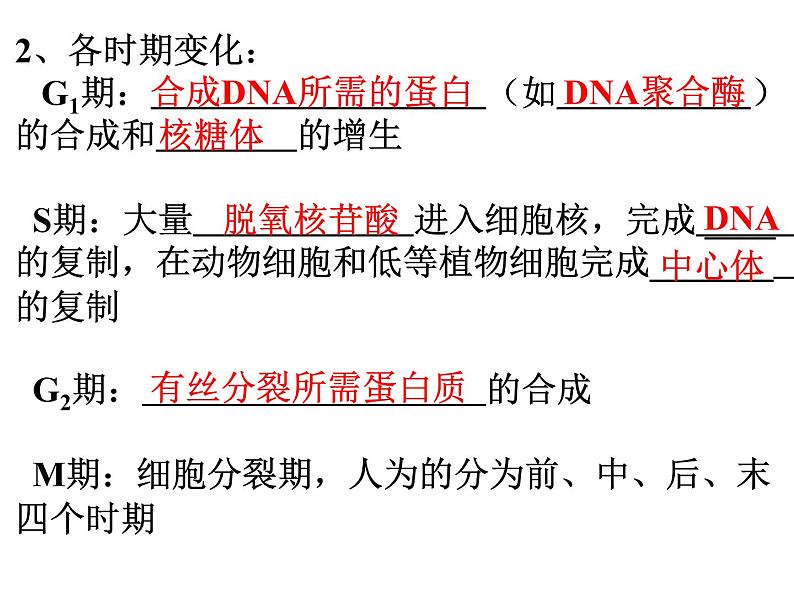 高三一轮复习生物:有丝分裂课件第4页