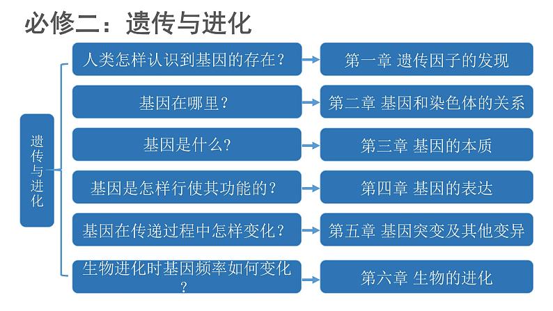1.1 孟德尔的豌豆杂交实验(一) 第1课时课件--高一下学期生物人教版(2019)必修2第1页