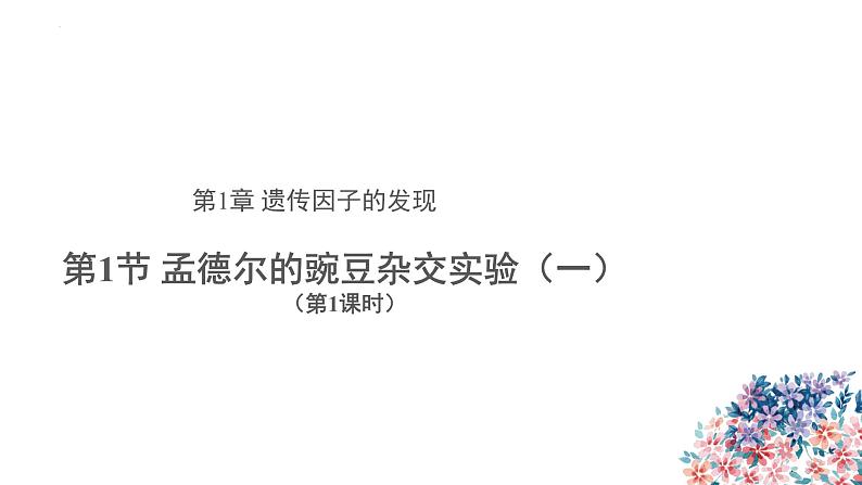 1.1 孟德尔的豌豆杂交实验(一) 第1课时课件--高一下学期生物人教版(2019)必修2第2页