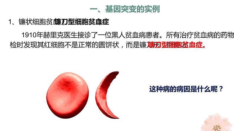 5.1基因突变和基因重组课件--高一下学期生物人教版(2019)必修2第4页