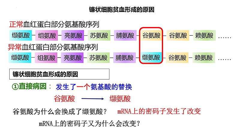 5.1基因突变和基因重组课件--高一下学期生物人教版(2019)必修2第6页