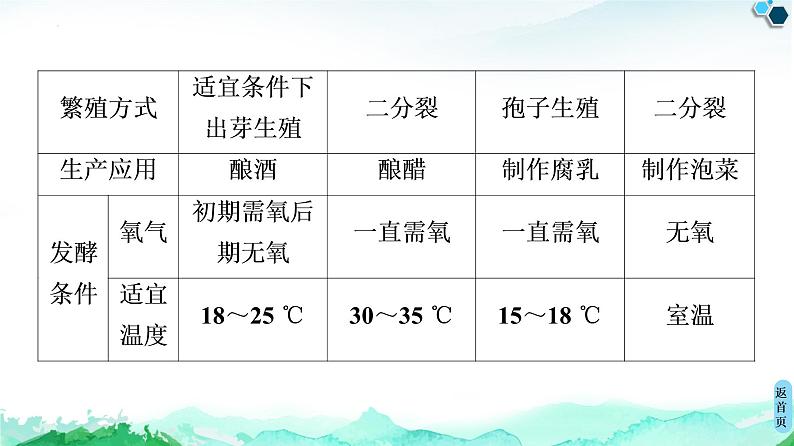 专题1 素能提升课 传统发酵技术的比较--高中生物选修1--同步课件PPT(人教版)第3页